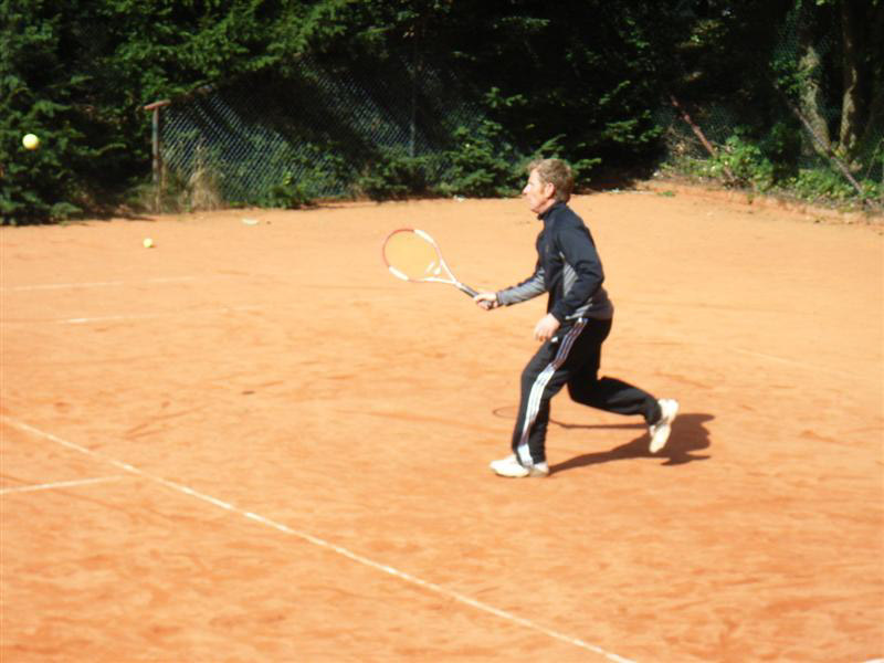 Schleifchentuniere 55